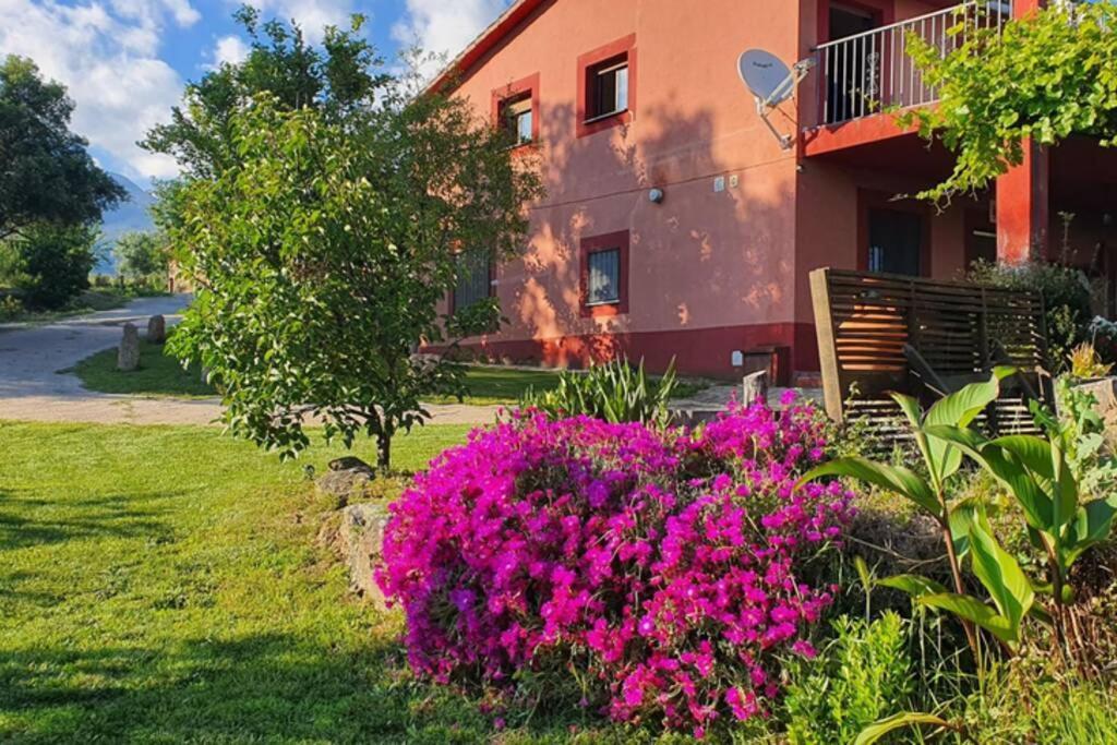 Casa Rural Las Traviesas 2 Candeleda Εξωτερικό φωτογραφία