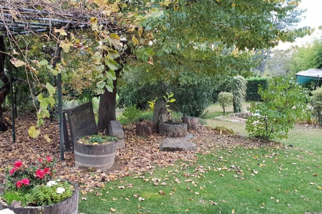 Casa Rural Las Traviesas 2 Candeleda Εξωτερικό φωτογραφία